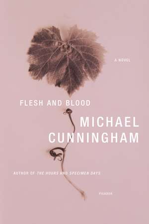 Flesh and Blood de Michael Cunningham