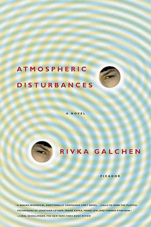 Atmospheric Disturbances: The Science of Empathy and How We Connect with Others de Rivka Galchen