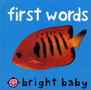 First Words de Priddy Books