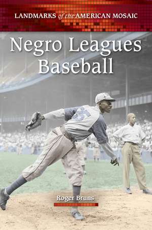 Negro Leagues Baseball de Roger Bruns