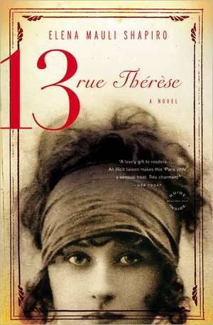 13, rue Thérèse: A Novel de Elena Mauli Shapiro