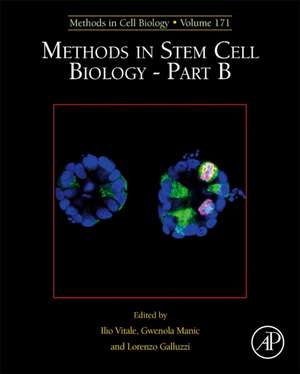 Methods in Stem Cell Biology - Part B de Ilio Vitale