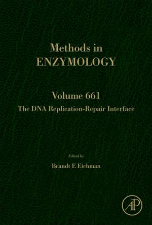 The DNA Replication-Repair Interface de Brandt Eichman