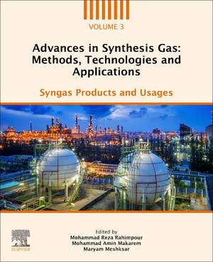 Advances in Synthesis Gas: Methods, Technologies and Applications: Syngas Products and Usages de Mohammad Reza Rahimpour