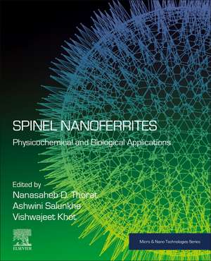 Spinel Nanoferrites: Physicochemical and Biological Applications de Nanasaheb D. Thorat