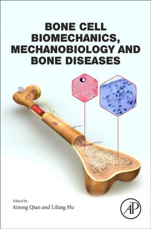 Bone Cell Biomechanics, Mechanobiology and Bone Diseases de Ai-Rong Qian