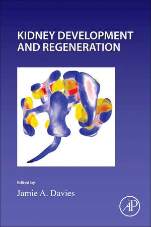 Kidney Development and Regeneration de Paul Wassarman