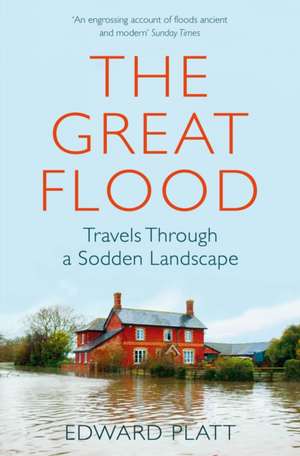 The Great Flood de Edward Platt