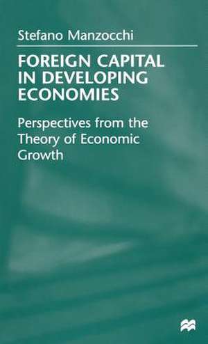 Foreign Capital In Developing Economies: Perspectives from the Theory of Economic Growth de Stefano Manzocchi