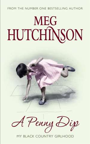 A Penny Dip de Meg Hutchinson