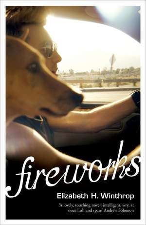 Fireworks de Elizabeth H. Winthrop