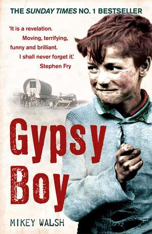 Gypsy Boy de Mikey Walsh