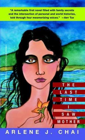 The Last Time I Saw Mother : A Novel de Arlene J. Chai