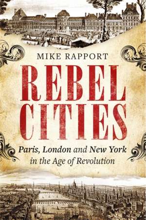 Rebel Cities de x Mike Rapport