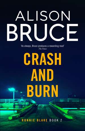 Crash and Burn de Alison Bruce