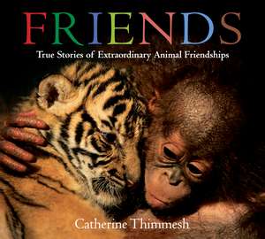 Friends Board Book: True Stories of Extraordinary Animal Friendships de Catherine Thimmesh