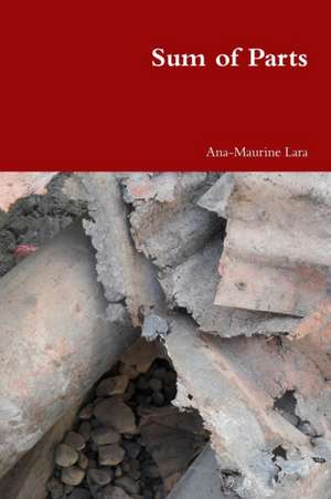 Sum of Parts de Ana-Maurine Lara