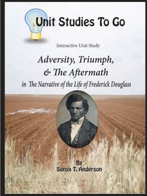 Adversity, Triumph, and the Aftermath de Sonya T. Anderson