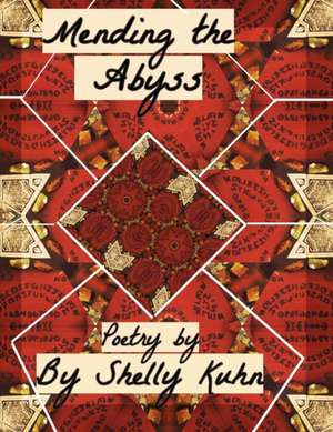 Mending the Abyss de Shelly Kuhn