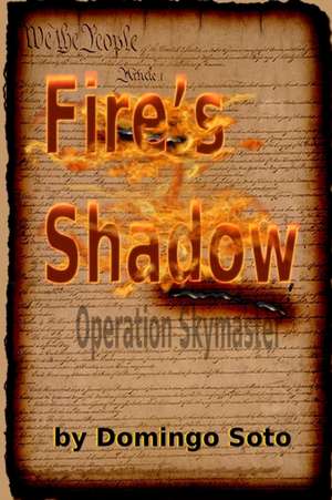 Fire's Shadow de Domingo Soto