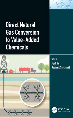 Direct Natural Gas Conversion to Value-Added Chemicals de Jianli Hu