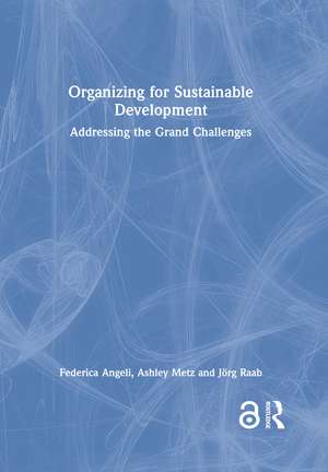 Organizing for Sustainable Development: Addressing the Grand Challenges de Federica Angeli