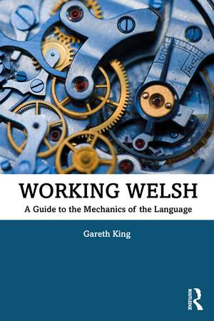 Working Welsh: A Guide to the Mechanics of the Language de Gareth King