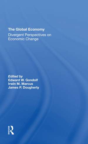 The Global Economy: Divergent Perspectives On Economic Change de Edward W Gondolf