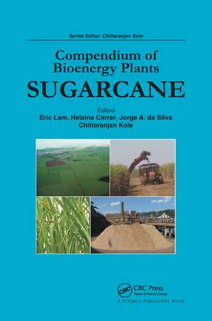 Compendium of Bioenergy Plants: Sugarcane de Eric Lam