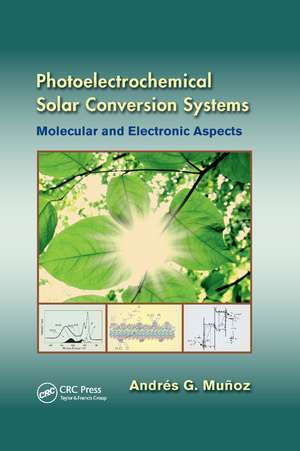 Photoelectrochemical Solar Conversion Systems: Molecular and Electronic Aspects de Andrés G. Muñoz