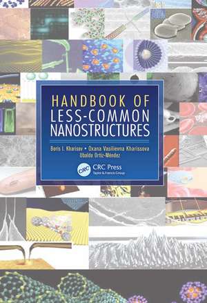 Handbook of Less-Common Nanostructures de Boris I. Kharisov