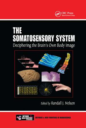 The Somatosensory System: Deciphering the Brain's Own Body Image de Randall J. Nelson