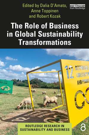 The Role of Business in Global Sustainability Transformations de Dalia D’Amato