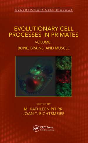 Evolutionary Cell Processes in Primates: Bone, Brains, and Muscle, Volume I de M. Kathleen Pitirri