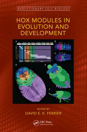 Hox Modules in Evolution and Development de David E. K. Ferrier