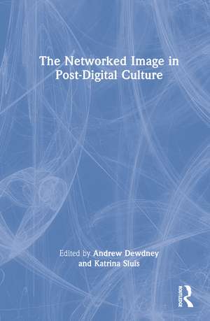 The Networked Image in Post-Digital Culture de Andrew Dewdney