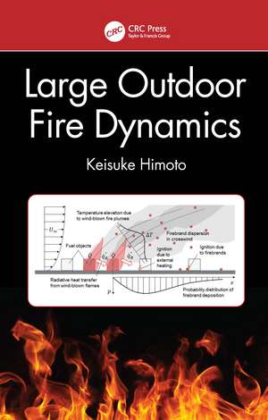 Large Outdoor Fire Dynamics de Keisuke Himoto