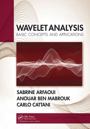 Wavelet Analysis: Basic Concepts and Applications de Sabrine Arfaoui