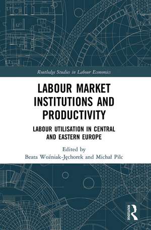 Labour Market Institutions and Productivity: Labour Utilisation in Central and Eastern Europe de Beata Woźniak-Jęchorek