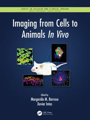 Imaging from Cells to Animals In Vivo de Margarida Barroso