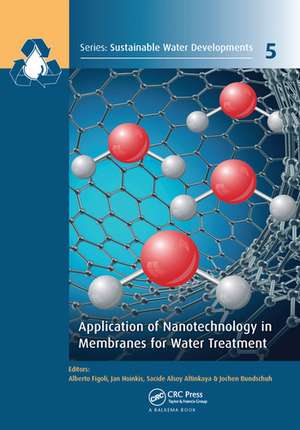 Application of Nanotechnology in Membranes for Water Treatment de Alberto Figoli