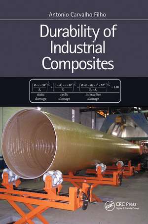 Durability of Industrial Composites de Antonio Filho