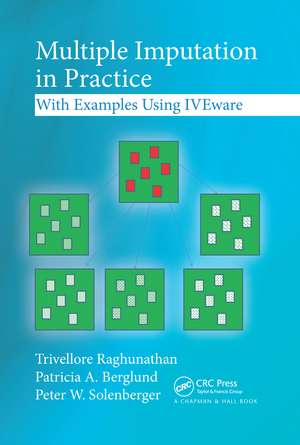 Multiple Imputation in Practice: With Examples Using IVEware de Trivellore Raghunathan