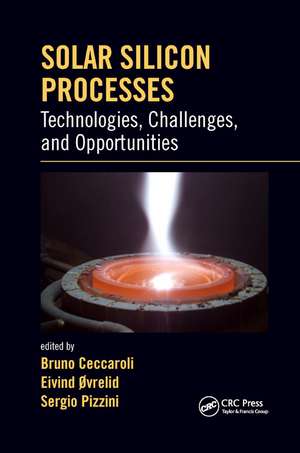 Solar Silicon Processes: Technologies, Challenges, and Opportunities de Bruno Ceccaroli