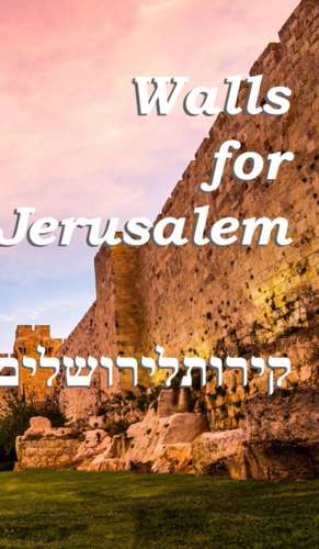 Walls For Jerusalem de Dulce Martins