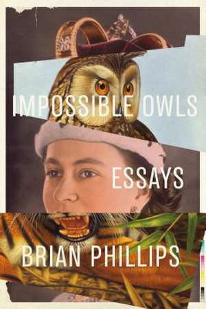 Impossible Owls de Brian Phillips