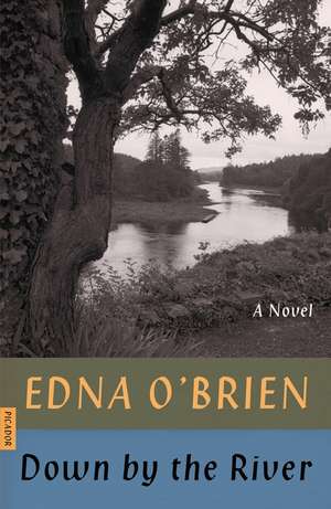 Down by the River de Edna O'Brien