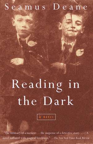 Reading in the Dark de Seamus Deane