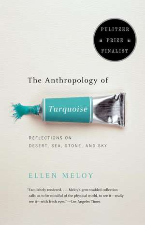 The Anthropology of Turquoise: Reflections on Desert, Sea, Stone, and Sky de Ellen Meloy