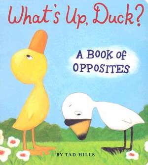 What's Up, Duck? de TAD HILLS